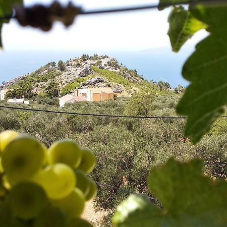 Apartment Ivo Veliko Brdo Makarska Bagian luar foto