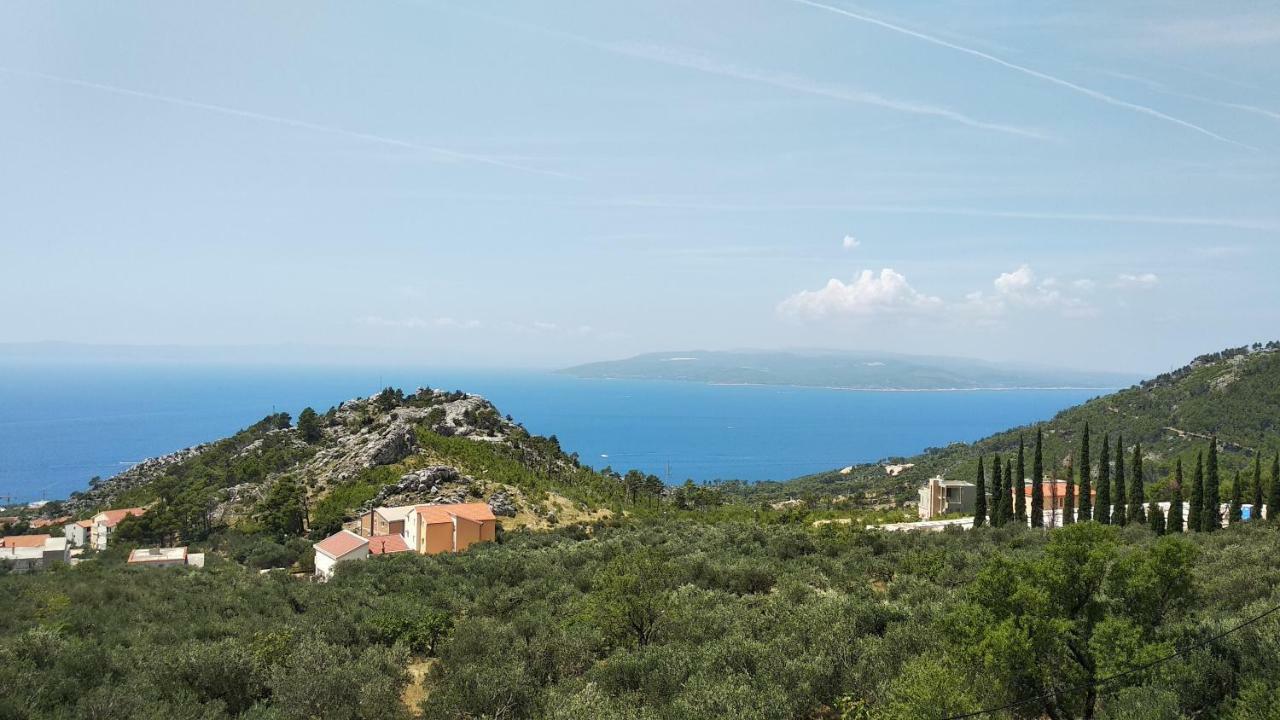 Apartment Ivo Veliko Brdo Makarska Bagian luar foto